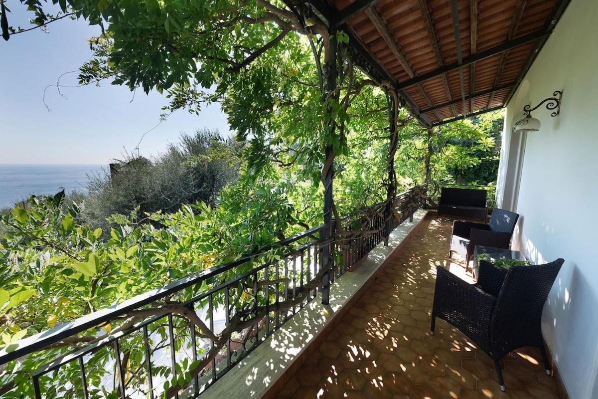 Villa Marinella Close To The Sea With Private Pool Nerano Esterno foto